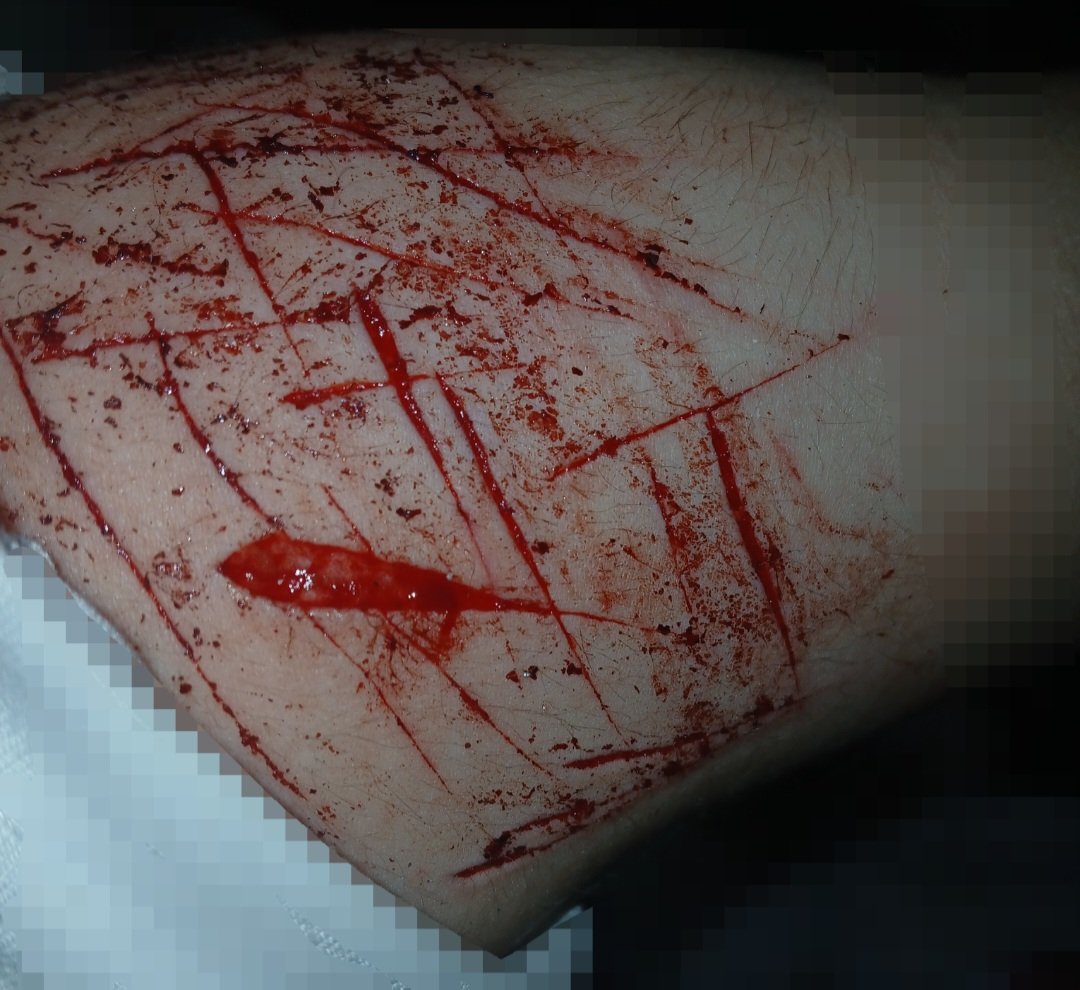 jay209thr's tweet photo. ⚠️ALL-FAKE HALLOWEEN MAKEUP⚠️
FALSE GORE
first post i think
#sh #shtwt #gore https://t.co/tQVQo2bnGO