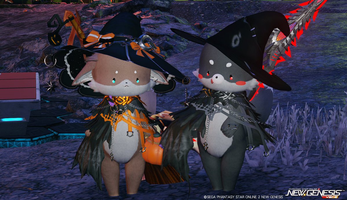 konkonshin's tweet photo. ハロウィンあにまる🐱🎃🐺かわちいちい https://t.co/noxI5IUSZH