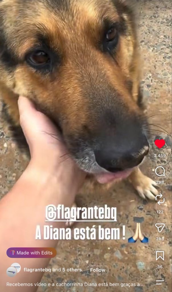 taygodswiift's tweet photo. @UmaVenezuela os criminosos são esses! e a cachorrinha está bem! https://t.co/drVnE0EAVL