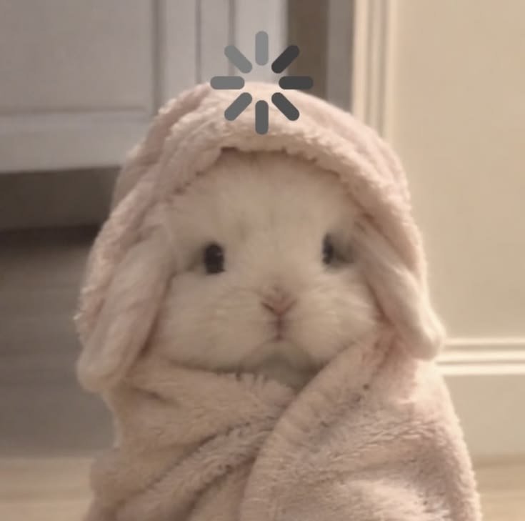 madawamebaku's tweet photo. Bunny is wondering why https://t.co/41KSZUHHA7