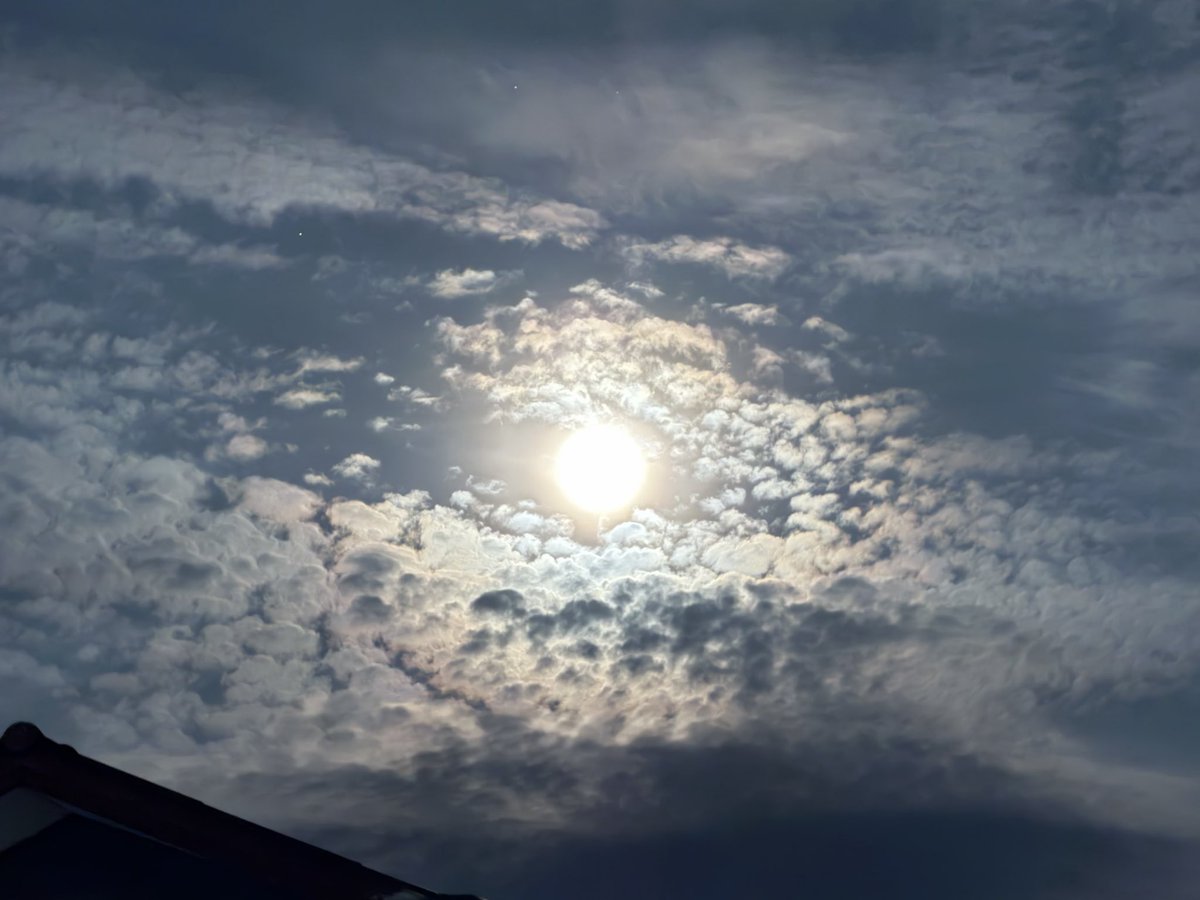 Princepx21 tweet picture