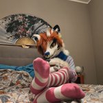 Photo by serrs🏳️‍⚧️AD (@serrsfox)