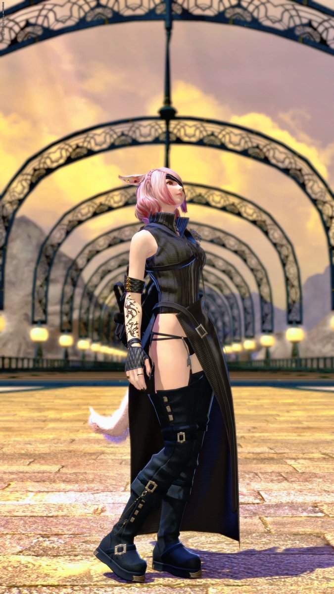 mio__ff14's tweet photo. おはよーう！
最近楽しくて夜更かししすぎちゃう✨️

#おはミコ #ミコッテ #FF14 https://t.co/G3UIHPuSli