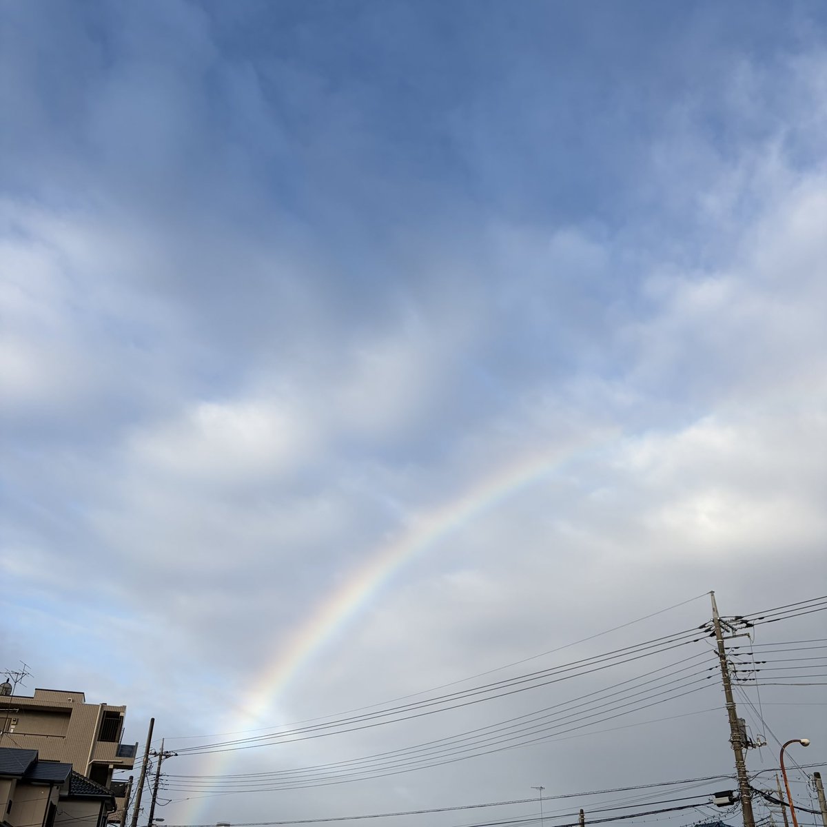 jubi_bijyu's tweet photo. 朝ジョグしていたら虹に遭遇
いい事あるかな https://t.co/EVi2jNO4an