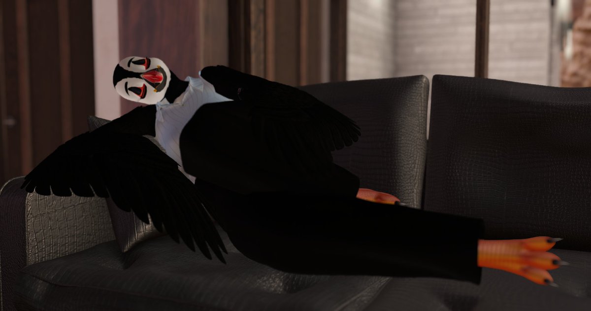 algae_fish's tweet photo. the puffin in question :3 https://t.co/Qya3WAgrdv