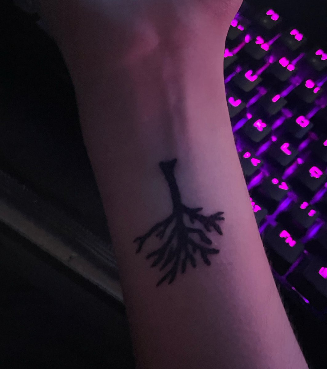 ihatecodein's tweet photo. 𖣂 https://t.co/TOmExhXvp6