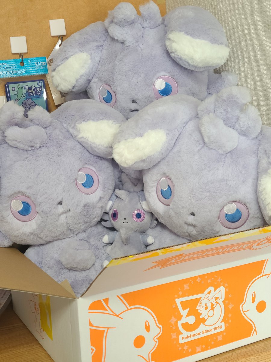 pokestoji's tweet photo. 愛すべき箱🐱 https://t.co/uQ6D2ZbI3u