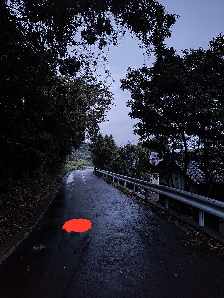 ayapin_1146's tweet photo. 3日くらい同じ時間帯でビビる。
(一応共通雨) https://t.co/P1EYREA3Cw