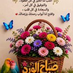 Photo by سالم صالح المخيري. بديل4 (@Almkhyry4)