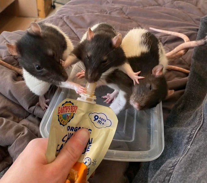 FadeQuassi's tweet photo. "Mexicans when there's horchata at the function" https://t.co/5X3rVtqBo6