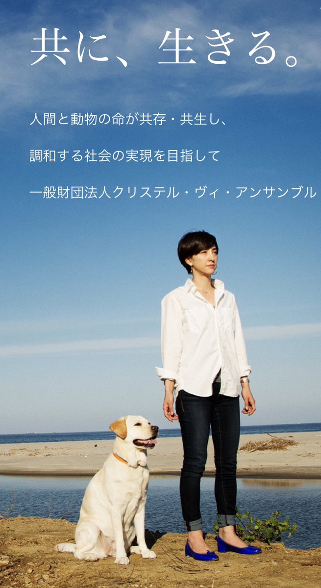 sum_itto's tweet photo. #滝川クリステル さんお願いします！

旦那 #小泉進次郎 氏に
今すぐ犬を遺伝子操作で軍事使用する事は絶対にないよう要請ください。

あなたの保護団体「一般社団法人クリステル・ヴィ・アンサンブル」を支援してる人への背徳行為にもなる。

遺伝子操作の軍事犬なんてあんまりだ。
犬は同意も何もできないんだ。
勝手に人間が彼らの遺伝子いじって
凶暴化させるなんて...酷すぎる。
本当にあったらダメ。

この国でやる事は絶対に反対。
一番止められるのは彼女だと思います。