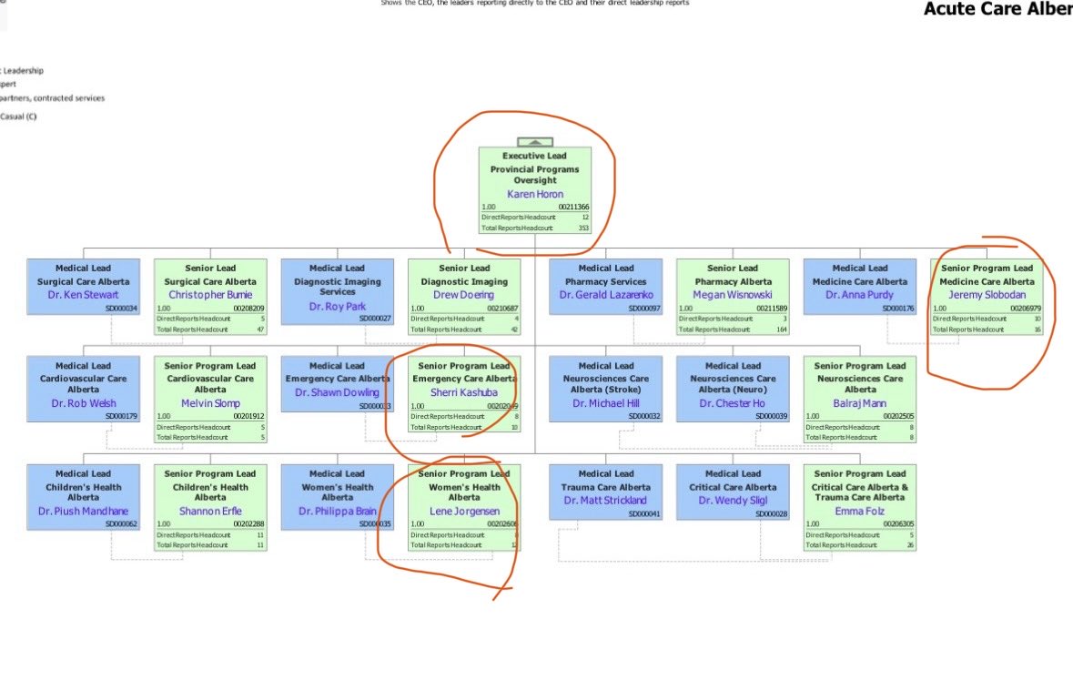 TrueNavYEG's tweet photo. Update re: Acute Care Alberta purge today - A lot of people in one portfolio gone. No clarity on who is covering or who is next to get axed. 
One official was fired after delivering a report card on hospitals. IMHO the acute capacity data likely did not support last weekend’s announcements re: flu season preparedness… strap in #Alberta this fall may be a rough ride. https://t.co/ZgOZ8mGGbL @TheBreakdownAB @cspotweet