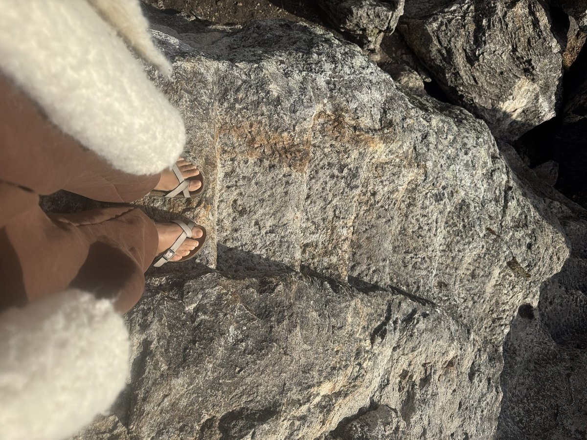 Maryamhasnaa's tweet photo. Morning adventures… https://t.co/bx8UZe4Td0