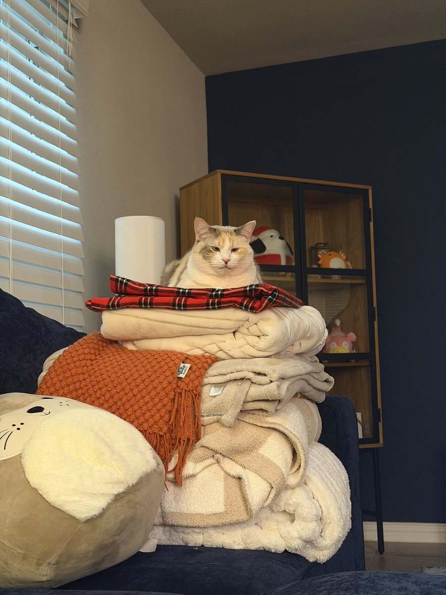fatfatpankocat's tweet photo. Blanket tower of doom and despair https://t.co/HsdWI5ijDp