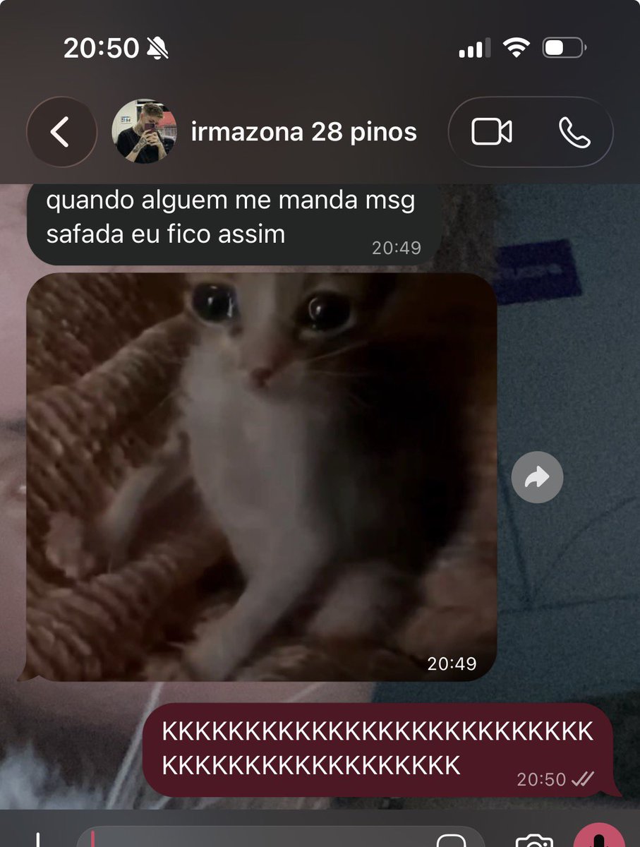 claralhadinha's tweet photo. GATO DESGRACADO https://t.co/7WjU4OhUwR