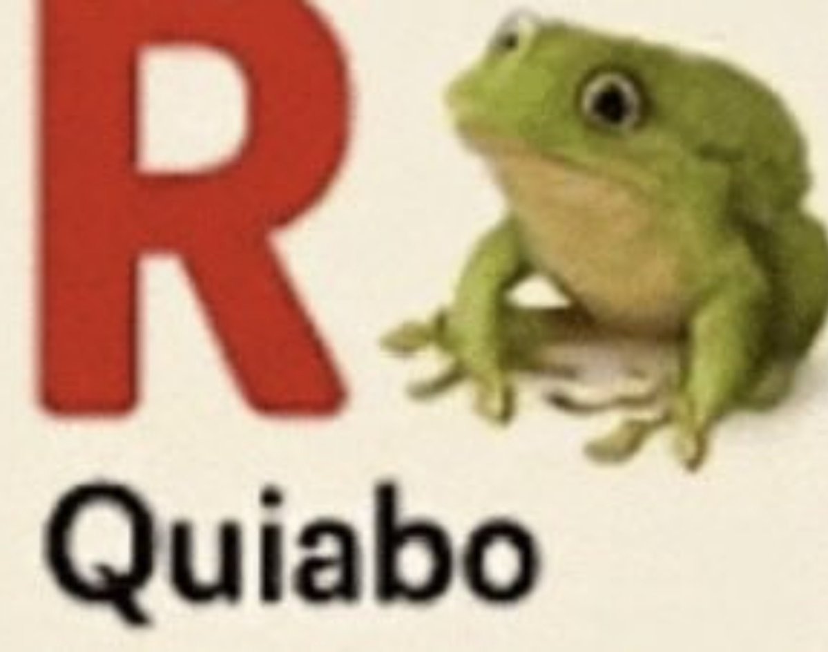 mistynjzzelyy__'s tweet photo. discutir com bolsonarista é assim https://t.co/sL16UydS1v