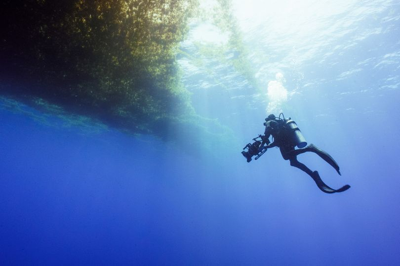 cinemaclt's tweet photo. 🗞️ | A equipe de produção de 'Blue Planet III' confirmou que manterá imagens subaquáticas mais turvas, menos polidas e com partículas de plâncton flutuando. 

A decisão inédita serve como uma prova de autenticidade para garantir ao público que as gravações são 100% reais e combater a desconfiança gerada pelo avanço das ferramentas de inteligência artificial generativa.
