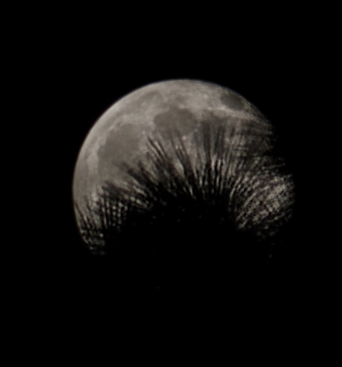 Pacosith's tweet photo. The moon is beautiful tonight. #MOON https://t.co/qkG6SgAwmX