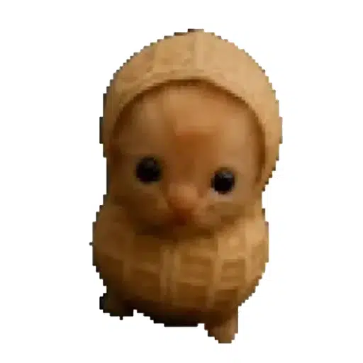 apedev_sol's tweet photo. why send a truth terminal image? send a meme

$Nut for no nut november coming up paired to djt

NUT / DJT
https://t.co/OAP4Qs2daM https://t.co/axjARDp8w8