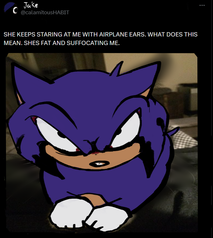 MA1EXU's tweet photo. #theycalledmesonic https://t.co/VOQ2D32eRm
