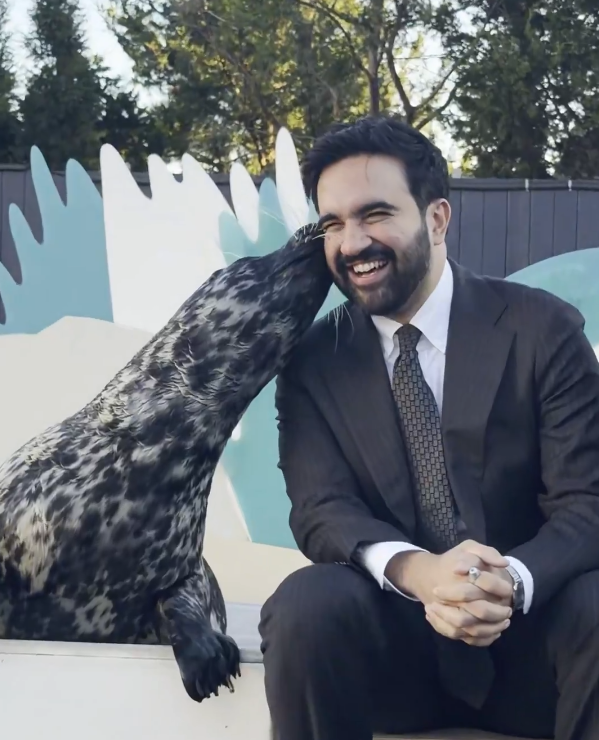 Emprider's tweet photo. He got kissed by a seal because he is pure of heart https://t.co/afzmxoSBT2