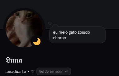 LunaDuartee_'s tweet photo. dia dos perfis malocos https://t.co/VV4t2pwMuZ