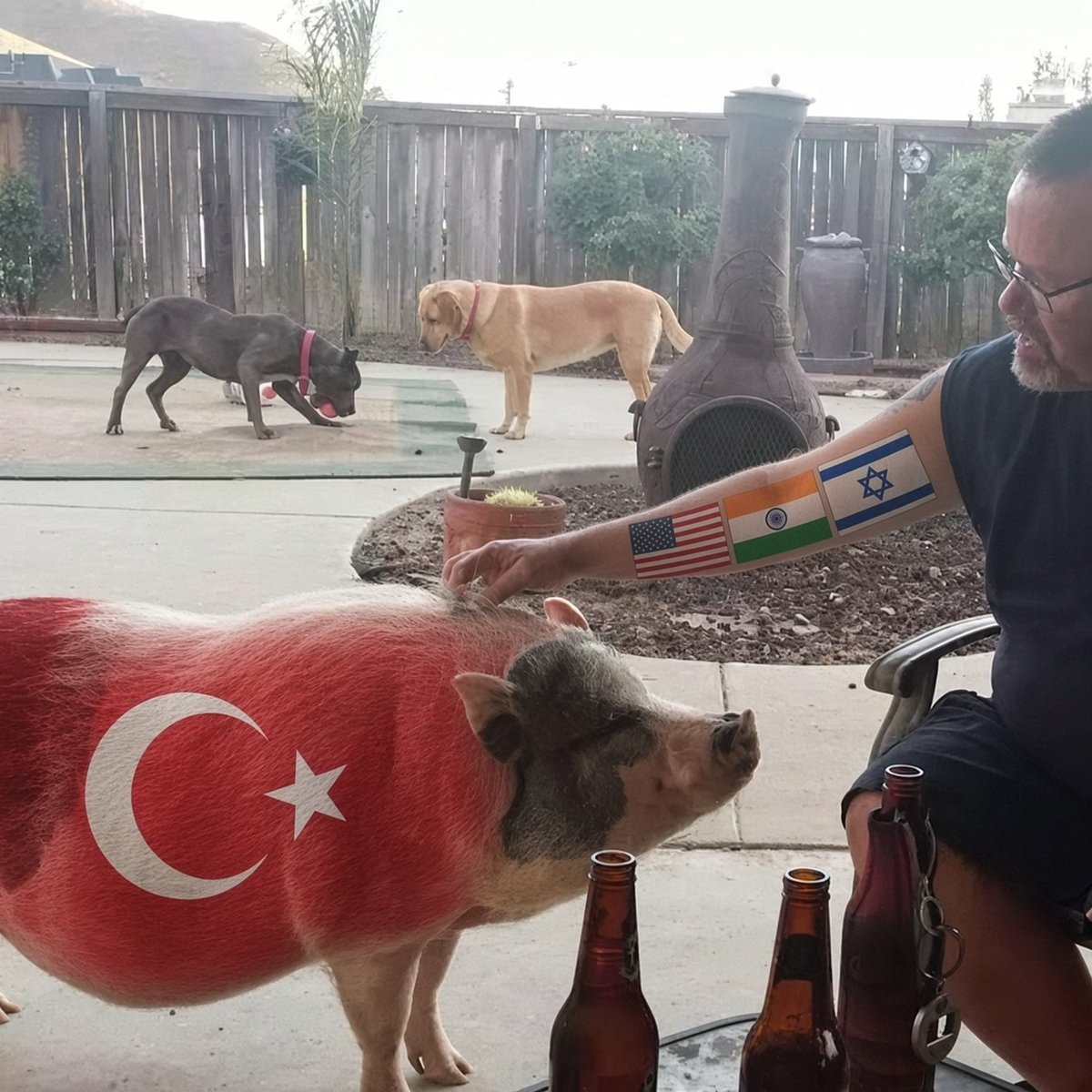 MasterofAmerica's tweet photo. @MALTOKATLAYAN_ Kerp barking to the mirror like that about yo mama, yo subhuman retarded dickless pig-fucked inbred loser turkey. I fucked yo mama all day long until her pig belly exploded with cum and into her grave! Yo pig mama👇LMFAO!

https://t.co/304CDpxxkM https://t.co/EM0nqaSeeR