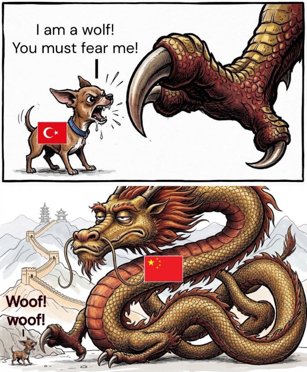 MasterofAmerica's tweet photo. @MALTOKATLAYAN_ Keep barking at the mirror, dickless retarded subhuman shit slave loser turkey! LMFAO!
https://t.co/WKgwIn5We3 https://t.co/TpWAdMzzVz