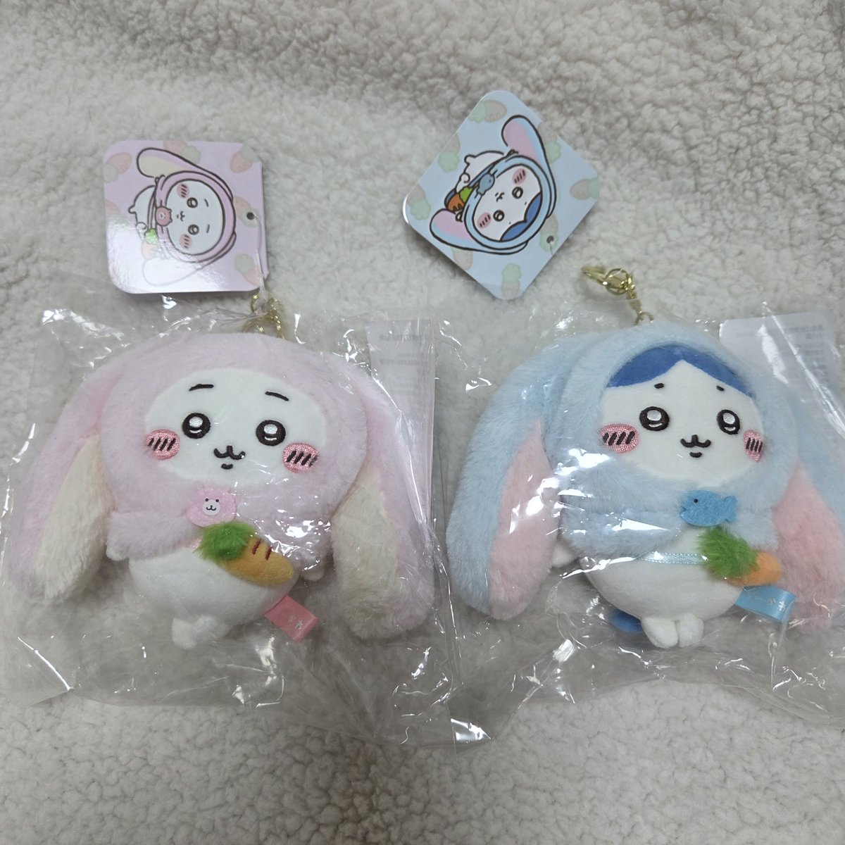 myang0124's tweet photo. 퇴근하구 왔더니 롭이어 아가 두마리가 집에 와있는 행운을 내가 누려도 되는걸까ㅜ 첫아가들 어서와🌸🌸 우사기랑 쌍둥이 치이도 얼른 왔으면!!! https://t.co/wiDvkYdjSG