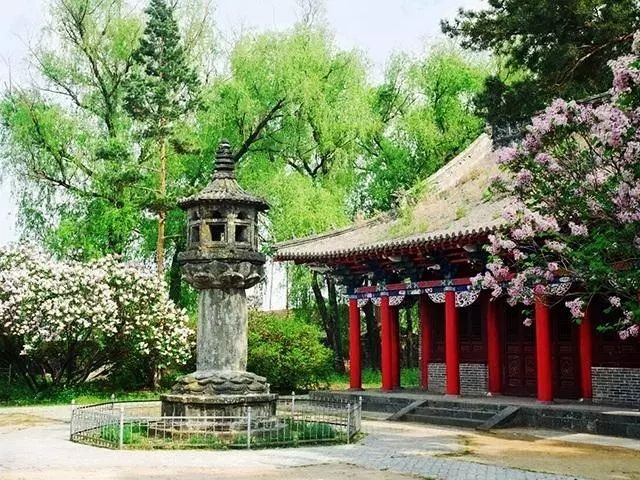 ukey705's tweet photo. Xinglong Temple in Ning'an, ancient Bohai State temple, national treasure stone lantern tower, Tang-style wooden halls, Northeast China ancient temple, blend of Tang and local ethnic architectural style. https://t.co/ru5kQULHJ3