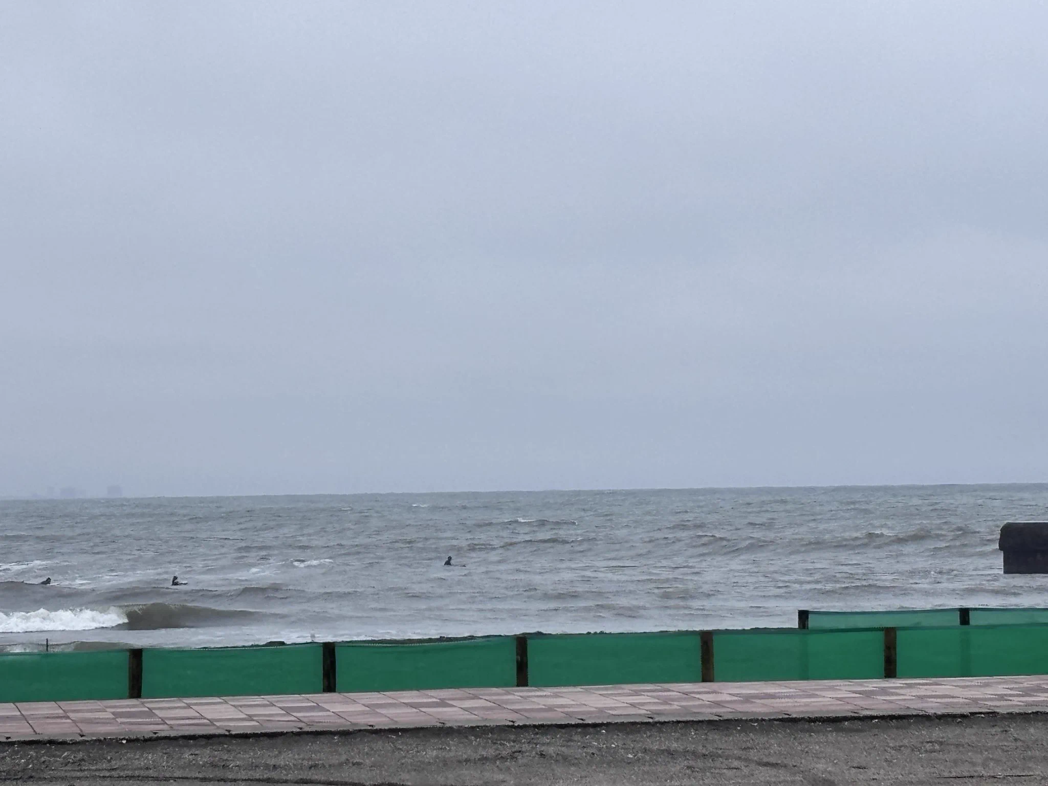 pasta-surf on X: 