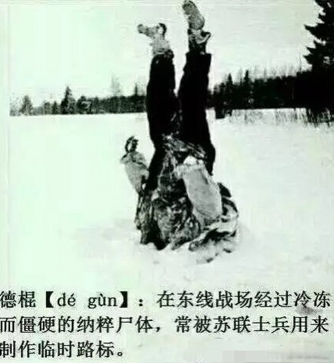 terryhavefun's tweet photo. @BenediktEntner 无论你是德国人还是奥地利人还是其他德语区使用者 该滚回地堡是你们这些德国种族歧视怪胎 https://t.co/rkJ6IZq35b