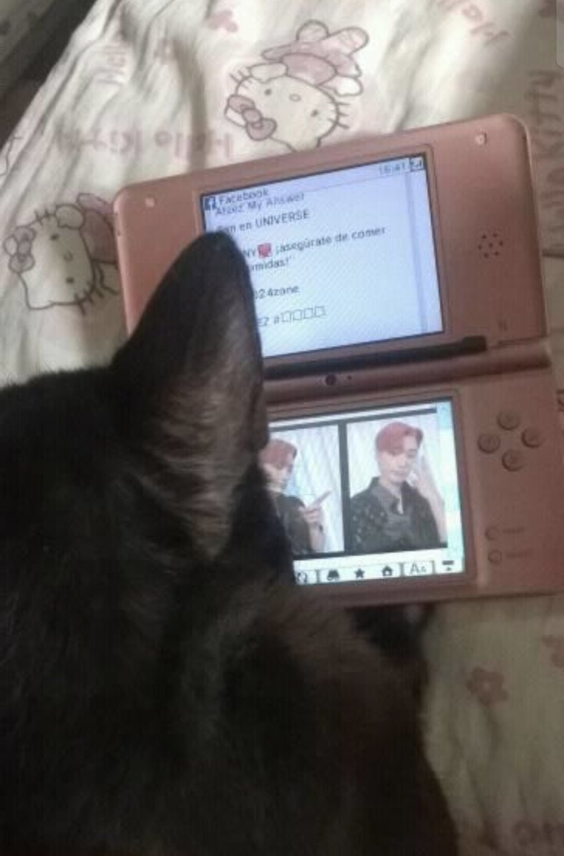 jellyb1n's tweet photo. feliz cumpleaños san

hace mucho tiempo ya no estas conmigo, espero que sepas que nunca te olvido y que cuando te montabas en cama a las 3am y te acostabas en mis pies y me dejabas atrapada hasta las 6am era la persona mas feliz del mundo https://t.co/GU2aZdO30h