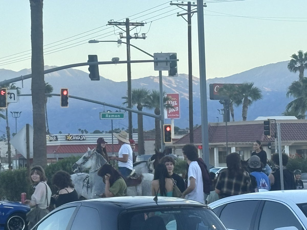 AztlanIrecha's tweet photo. pulled with a horse to the show 😭 https://t.co/qBGxG0Tg3i