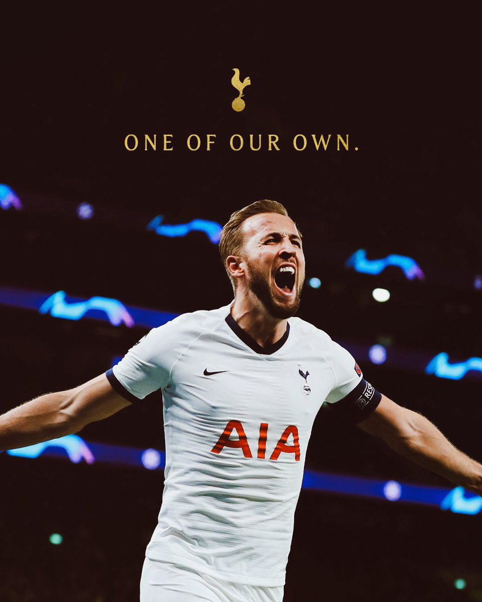SpursArg_10's tweet photo. HARRY SALVO EL FÚTBOL 
MERECIDISMO
DELANTERO INFRAVALORADO 
#COYS https://t.co/x0gIuupKZu