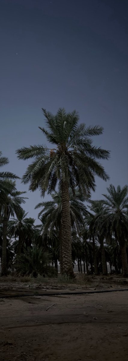 Qisllab's tweet photo. اهخخخخ اجمل ايام حياتي مرا الشعور وووواو https://t.co/Rf3iXv5hxX