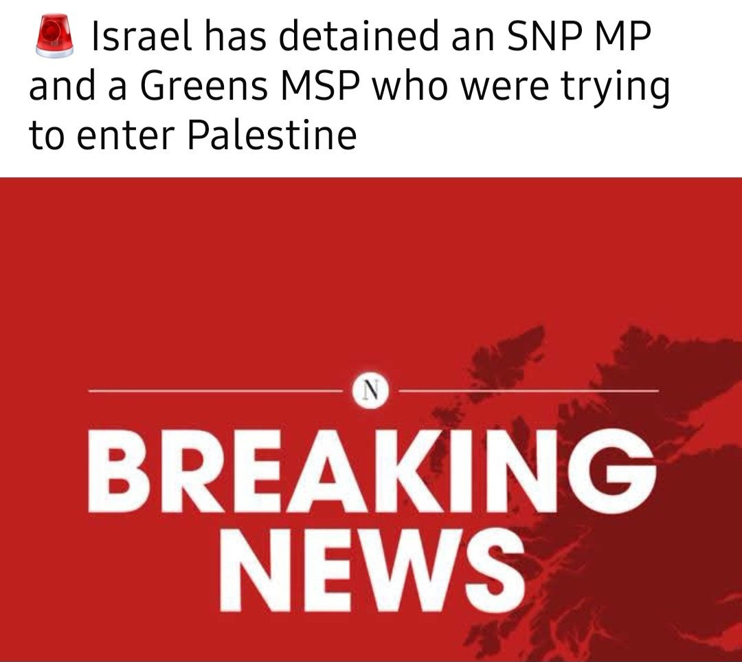 ThePaperRaven's tweet photo. @carol_catsx7 @Dunky555 @ScotNational https://t.co/WPKbusSd04