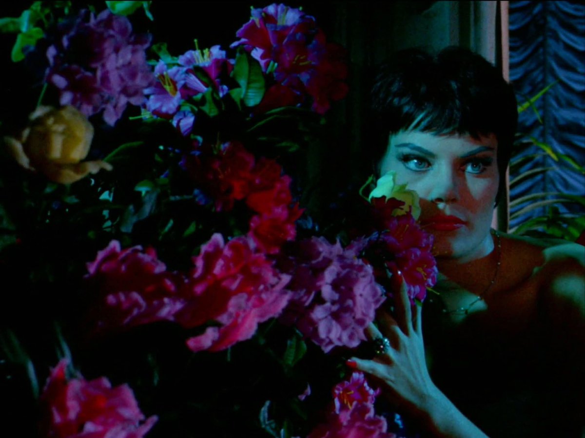 Kattiflam1's tweet photo. Blood and Black Lace (1964) dir. Mario Bava https://t.co/CV5CPR9saS