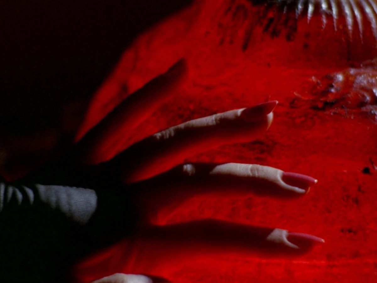 Kattiflam1's tweet photo. Blood and Black Lace (1964) dir. Mario Bava https://t.co/CV5CPR9saS