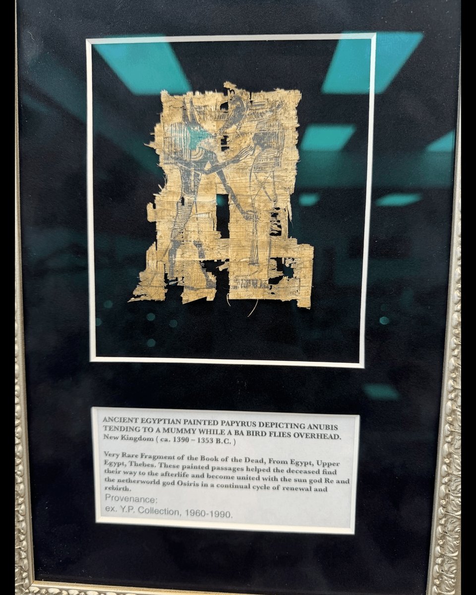 coinsnartifacts's tweet photo. Why "mummy"? Medieval Latin mumia, from Arabic and Persian mūmiyā, "bitumen". The blackened bodies looked coated in it. Herodotus says embalming took about 70 days. Our Book of the Dead fragment (Thebes, ca. 1390–1353 BC) shows Anubis tending a mummy. 🎃 #ancientegypt https://t.co/yfQcVp2pff