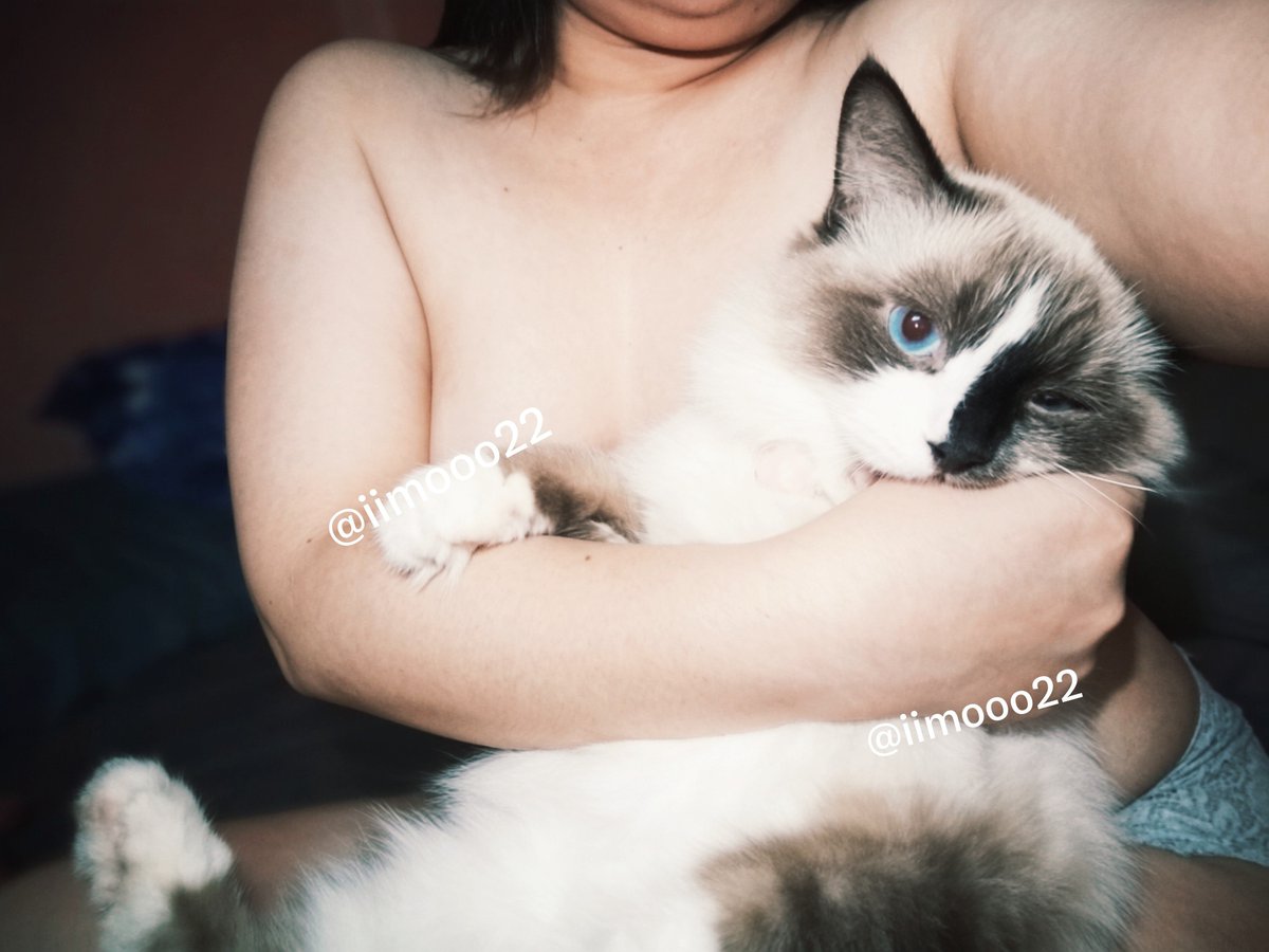 iimooo22's tweet photo. ห้องเรามีแมวนะ มาดูมั้ย 🐈🐈‍⬛
#สาวอวบ #สาวอวบน้ำเยอะ #สาวอ้วน
#ChubbyGirl https://t.co/hO4UTmowAH
