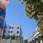 Photo by 햄메론 (@area_689)