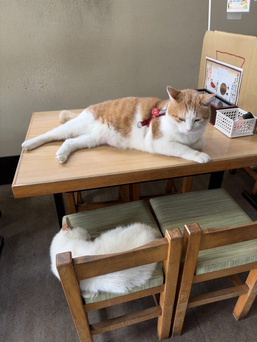 oomurapetakon's tweet photo. 朝プロモーションすると出て押すとエラー表示になり投稿出来ませんでした。あせりました。なんだろう? https://t.co/YJpsjkczvv