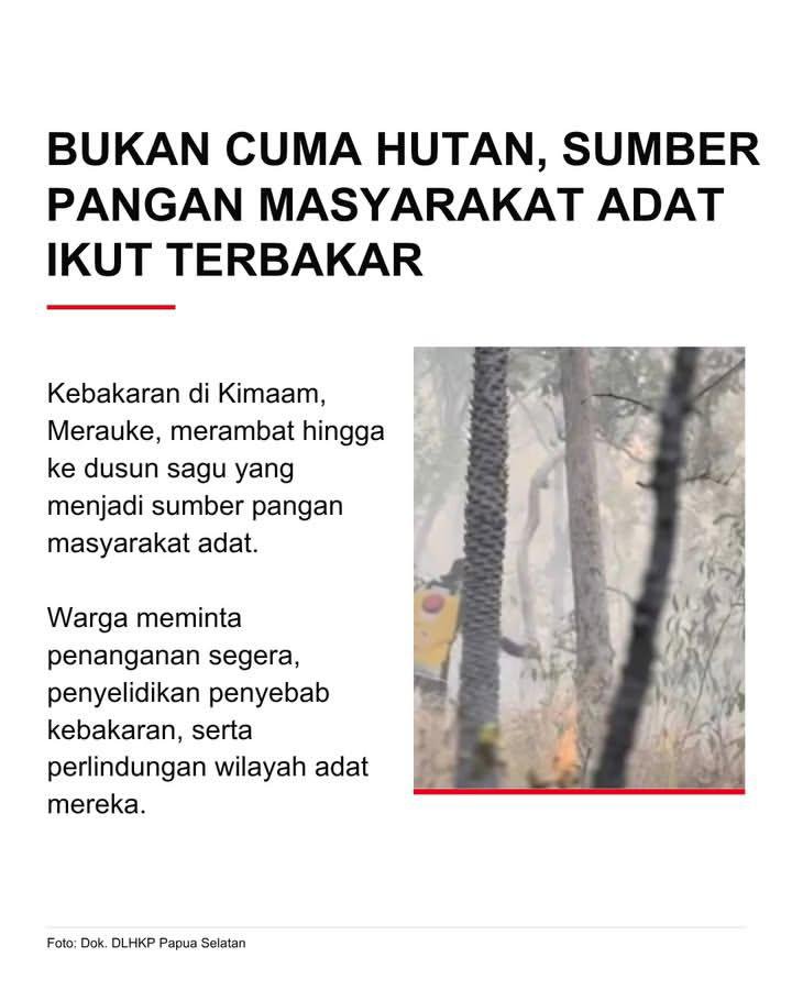 anaphalisaa's tweet photo. Papua juga terbakar, tapi kenapa jarang jadi sorotan?
Ada 885 titik panas terdeteksi, bahkan penerbangan ikut terganggu. Selain hutan, sumber pangan masyarakat adat juga ikut terbakar. https://t.co/vBNBIZ1oAb