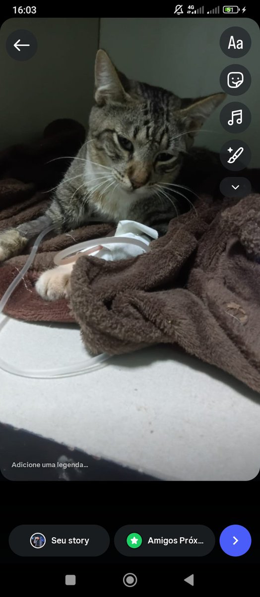 Gomxs27's tweet photo. Trago atualizações, ele segue internado e ainda é paciente de alto risco, mas já apresenta uma leve melhora, já voltou a se alimentar sozinho, segue em observação, muito provavelmente terá que passar por uma cirurgia, mas somente depois que o quadro dele se estabilizar. https://t.co/6bO0a6wciz