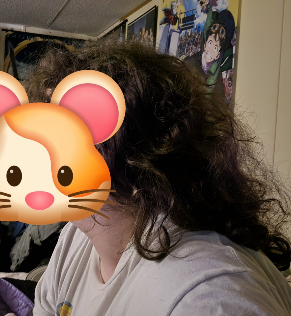 rinnyblurb's tweet photo. i need to wash it probably. lookin frizzy as hell.

im hamster https://t.co/oTOLuxdg4A
