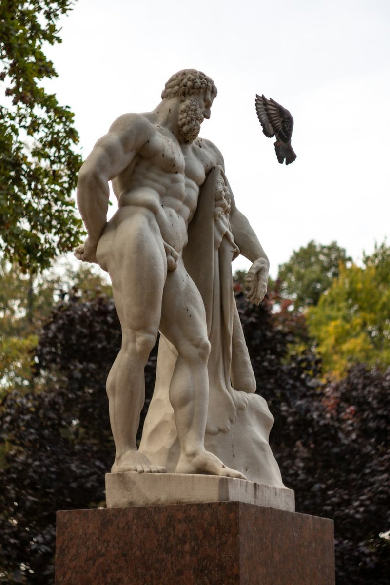 jmmbarlow's tweet photo. Spot this statue flexing like a champ, and yeah, there's a pigeon too

#statue https://t.co/TjHI6NNkWw