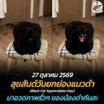 Photo by ตามติดชีวิตAnimal (@AnimalFW_TH)
