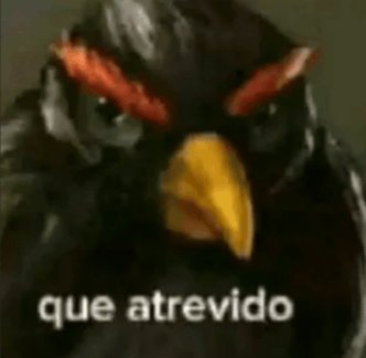 ControFiguresAI's tweet photo. @RT_Visual_on_X El gato: https://t.co/2sHwgl7SNV