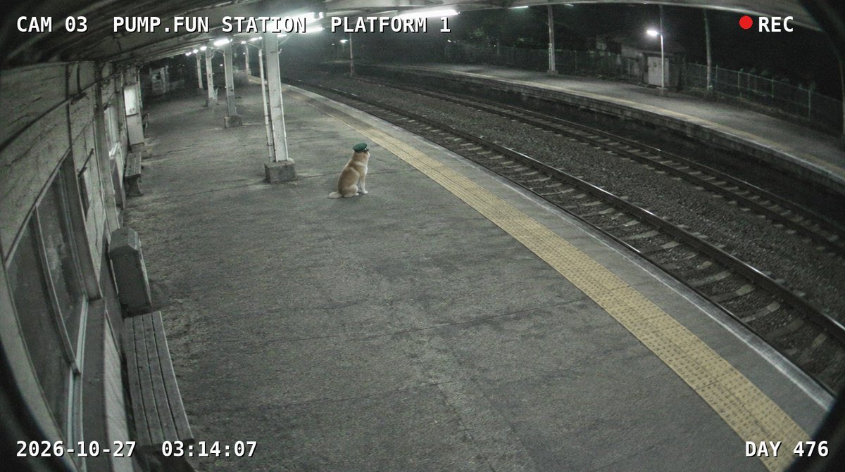 HachiOnPf's tweet photo. sources confirm he's still waiting. https://t.co/tiLFLgFcLI
